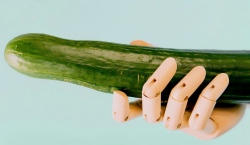 Pemetaan Penis – Peta Rahasia Kenikmatan